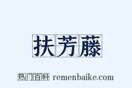 扶芳藤是什么意思的图片